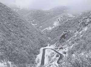 Սպիտակի ոլորաններում ձյուն է տեղում