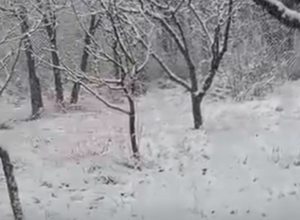 Ամասիայում առատ ձյուն է տեղում