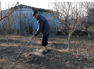 «Վրացին գալիս ա մեր քթի տակ առևտուր անում, մեր բերքը պադվալներում փտում է». այգեգործ