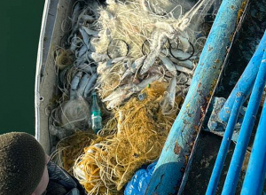 Սիգի ապօրինի որսի կանխարգելման ընթացքում  առգրավվել է  32 լողամիջոց, 695կգ ձուկ. ԲԸՏՄ