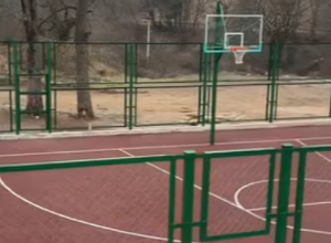 Տավուշի մարզի Աճարկուտի երեխաները Half-court բասկետբոլի դաշտ ունեն