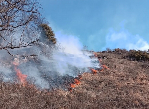 Հրդեհ Աղավնավանք և Ձորավանք համայնքների մոտակա սարերում․ ներգրավված է 124 հրշեջ-փրկարար