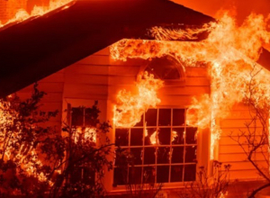 Լոս Անջելեսում անտառային հրդեհների հետևանքով հազարավոր բնակիչներ տարհանվել են