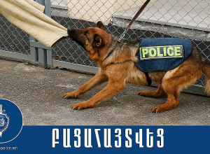 Կացնով սպանել են համաքաղաքացու կողմից խնամվող երկու շներին