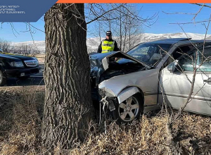 Մարտունի-Գավառ ավտոճանապարհին բախվել են «GAZ» և «Mercedes-Benz» մակնիշների ավտոմեքենաները, վերջինս բախվել է ծառին. 5 տուժած հոսպիտալացվել է