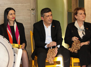 Անահիտ Մանասյանն այցելել է «Խարբերդի մասնագիտացված մանկատուն