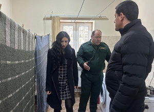 Անահիտ Մանասյանն այցելել է «Դատապարտյալների հիվանդանոց» քրեակատարողական հիմնարկ