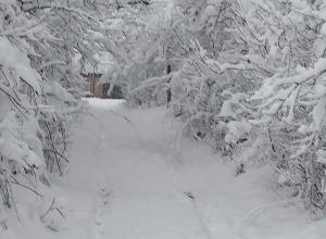 Ձյան ծածկի բարձրությունը Լոռիում տատանվում է 20-30 սմ սահմաններում․ Սուրենյան