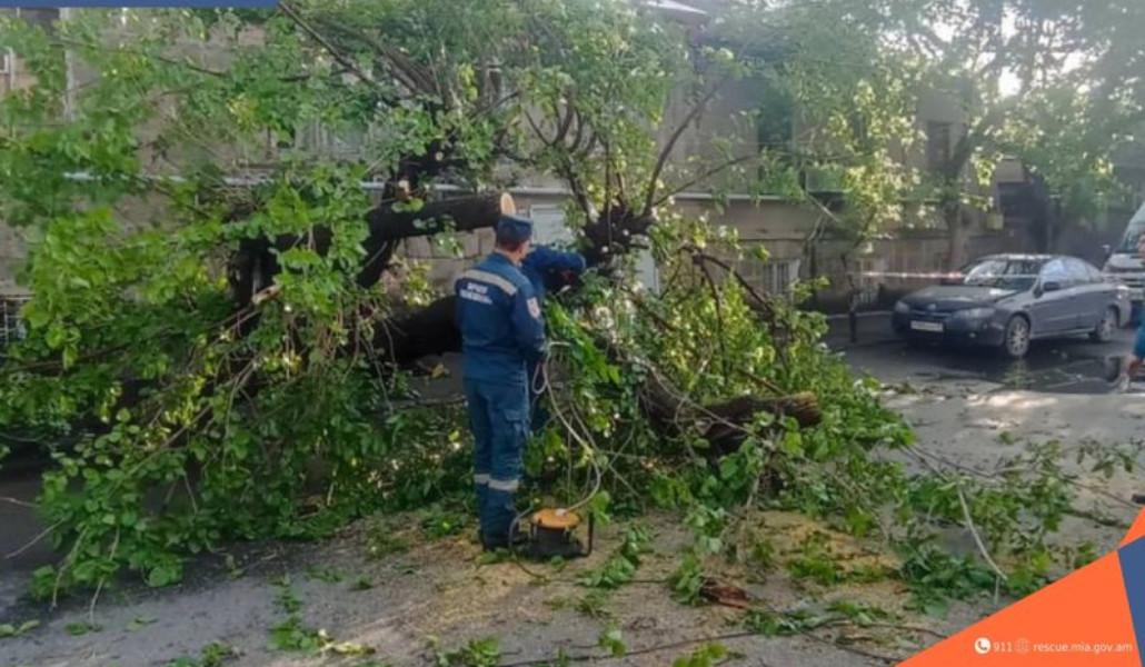 ՀՀ ՆԵՐՔԻՆ ԳՈՐԾԵՐԻ ՆԱԽԱՐԱՐՈՒԹՅԱՆ ՓՐԿԱՐԱՐ ԾԱՌԱՅՈՒԹՅՈՒՆ (5)