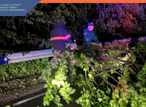 Ծառը հեռացրել են ճանապարհահատվածից․ երթևեկությունը վերականգնվել է