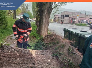 Ահազանգեր՝ քամու հետևանքով վնասների վերաբերյալ