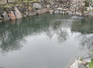 Բնապահպանական խախտումներ Գյումրիում․ մետաղամշակող ընկերություն և ձկնաբույծը տուգանվել են