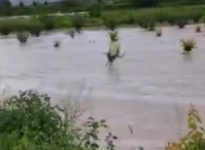 Ուժեղ տեղատարափ է դիտվել Արարատի մարզի Նորաշեն և Վերին Արտաշատ գյուղերում. Սուրենյան