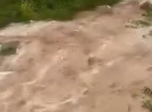 Արարատի մարզում նման սելավ առաջին անգամ եմ տեսնում․ Սուրենյան