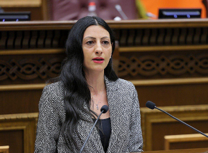 Կոչ եմ անում հրաժարվել երկակի ստանդարտներից․ ՄԻՊ