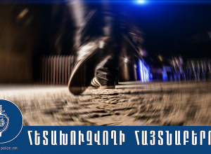 Ոստիկանները հայտնաբերել են զենք ու ռազմամթերք ապօրինի կրելու մեղադրանքով հետախուզվող անձի