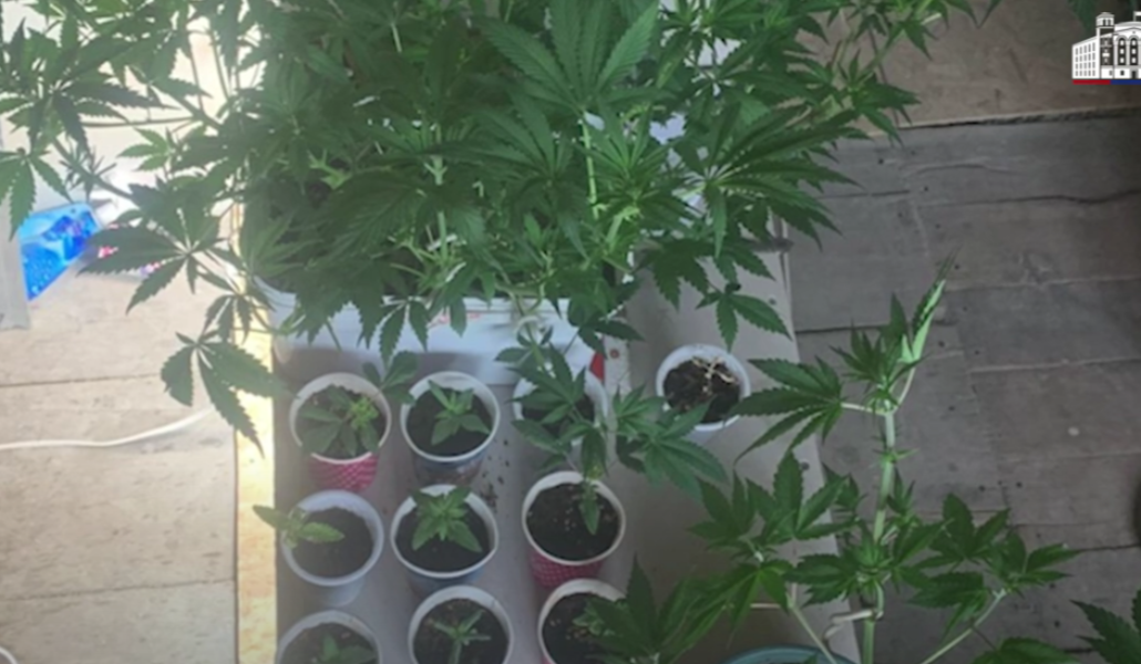 Screenshot 2025-05-29 180613