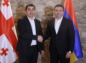 Ալեն Սիմոնյանը հանդիպում է ունեցել Վրաստանի խորհրդարանի նախագահի հետ