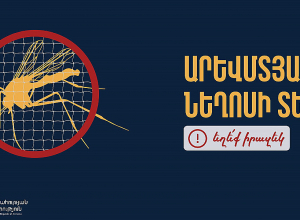 Հայաստանում հաստատվել է Արևմտյան Նեղոսի տենդի առաջին դեպքը․ ԱՆ