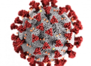 Ասիայում և դրանից դուրս տարածվում է COVID-19-ի նոր տարբերակը