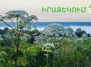 Հնարավորինս խուսափեք կոծուկի ու բաց մաշկի շփումից. «Զանգեզուր» կենսոլորտային համալիր» ՊՈԱԿ