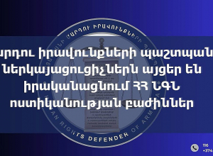 ՄԻՊ արագ արձագանքման խմբերն այցեր են իրականացնում Ոստիկանության բաժիններ