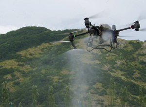 Էկոնոմիկայի նախարարը հետևել է Արզականում ծղրիդների դեմ պայքարի աշխատանքներին