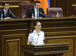 Աննա Վարդապետյանը ներկայացնում է Արծվիկ Մինասյանի նկատմամբ քրգործ հարուցելու հիմքերը