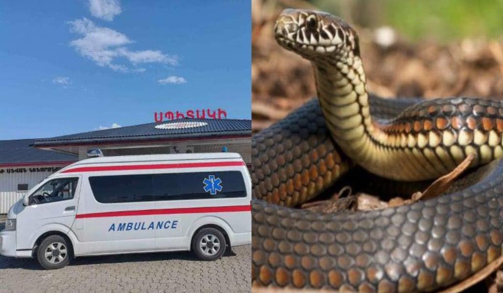 527349606_1343779974417767_6704557256421124578_n