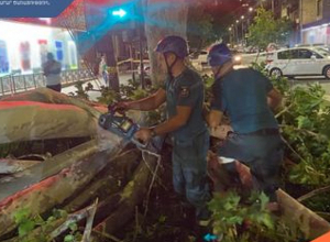 Քամու հետևանքով Երևանում տապալվել են ծառեր, վնասվել շինության տանիքներ