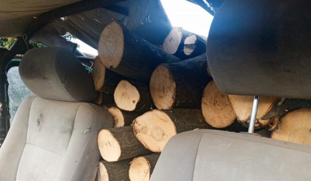 533061135_1175674421254448_8194256580543240678_n