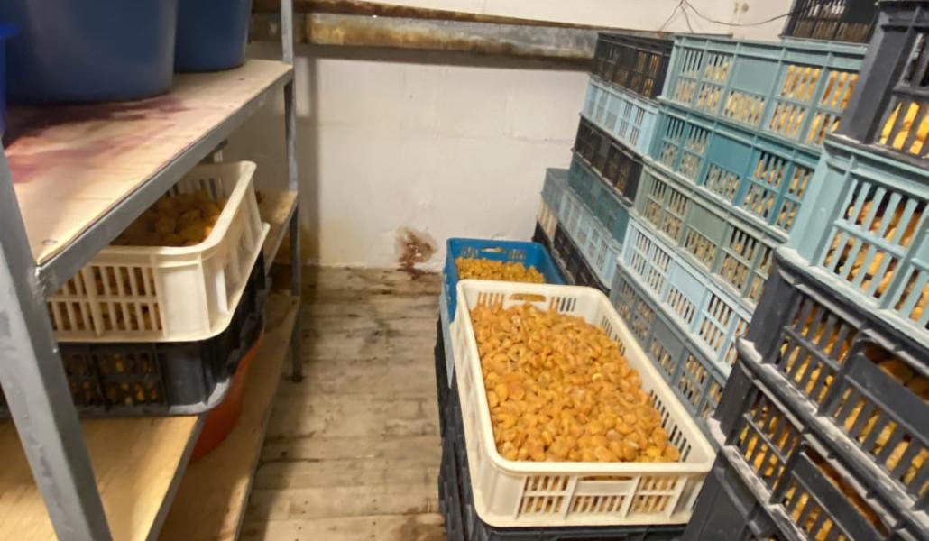 534422828_1175652964599087_8239662539699210115_n