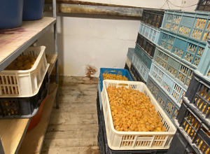 Չրերի արտադրամասի արտադրական գործունեությունը կասեցվել է