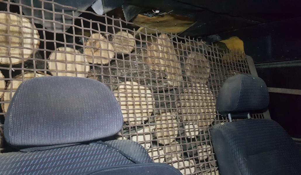 536278152_1184603830361507_5707876727605837143_n