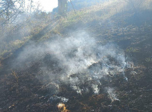 Հրդեհի բռնկման ահազանգեր են ստացվել