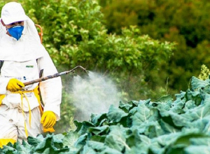 Թունաքիմիկատների ներմուծման, գրանցման և շրջանառության վերահսկողությունը երաշխավորված է գործող օրենսդրությամբ և ընթացակարգերով․ ՍԱՏՄ