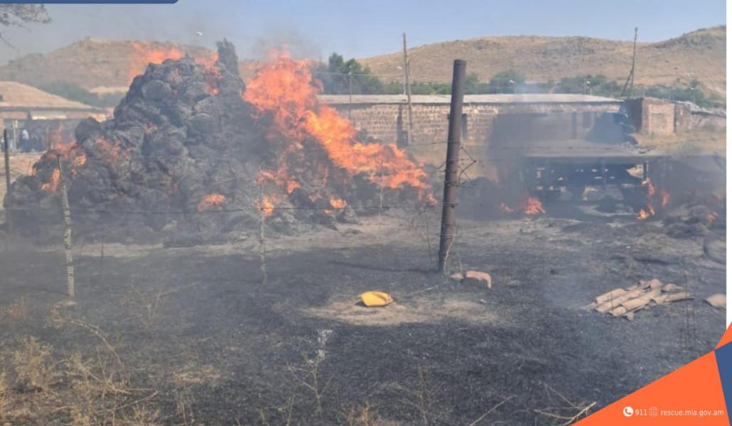 photo_2025-08-28_00-00-17