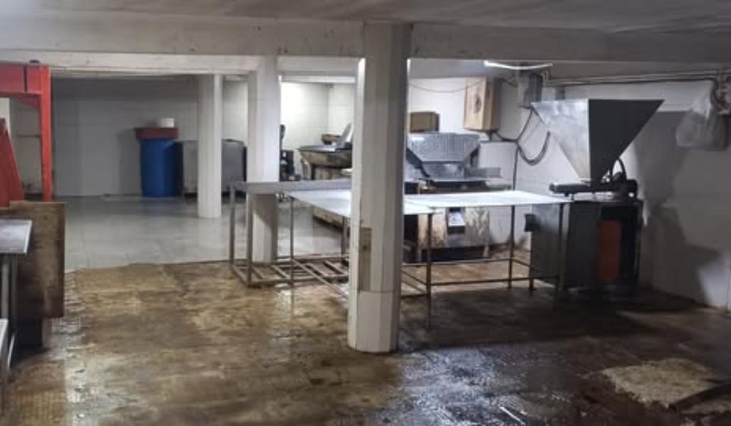 539582657_1186890103475373_4218995796756049470_n