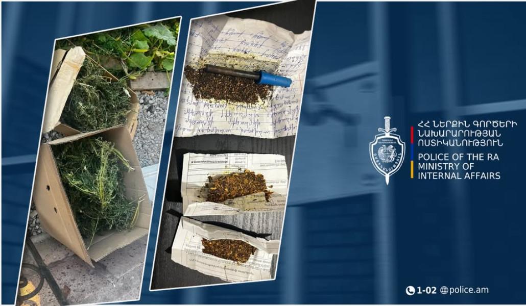 540462945_1156006363219381_5368398099419945012_n