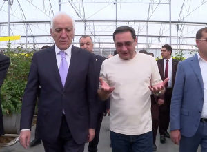 Նախագահ Վահագն Խաչատուրյանն այցելել է «Ավալանժ» ջերմատնային համալիր