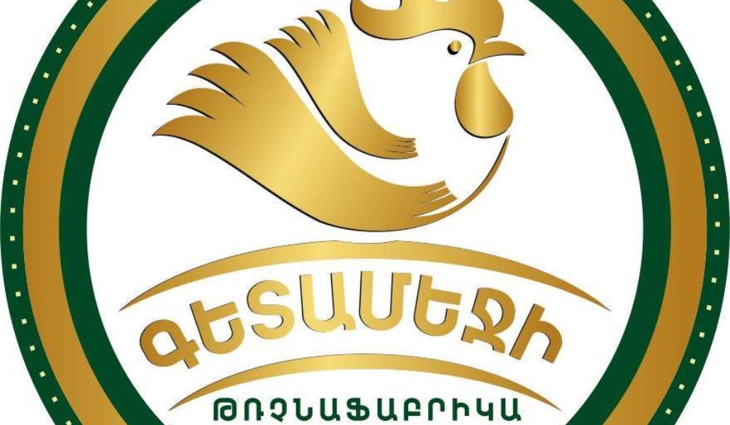 542216454_1193393146158402_1370313651334665585_n