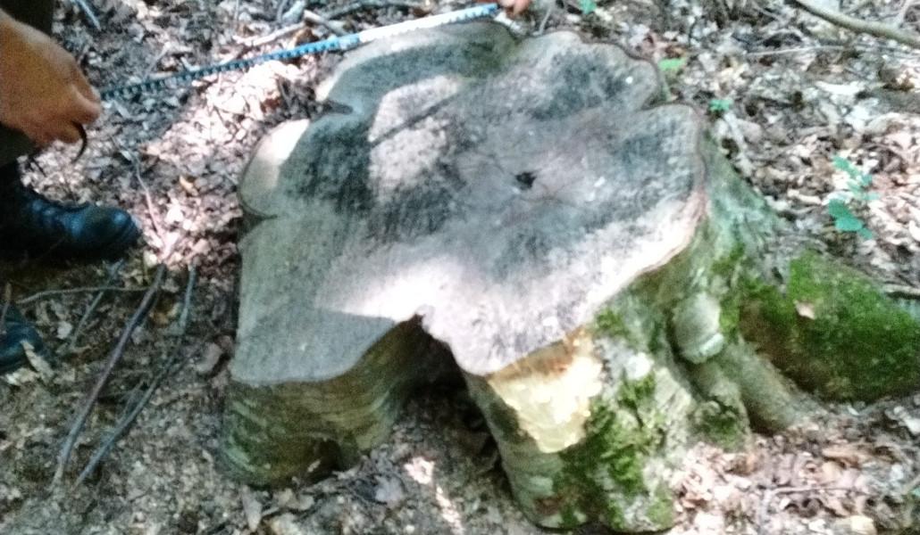 544979206_1247864600703892_2387133933695679644_n