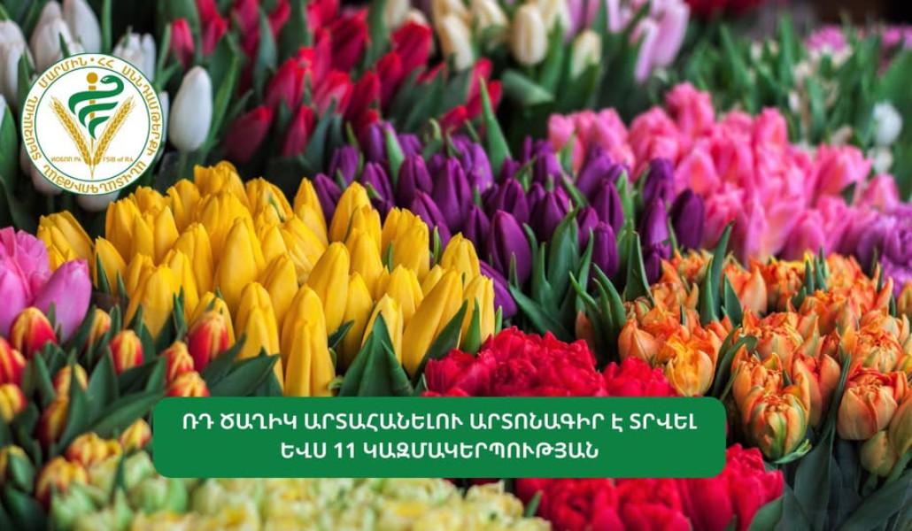 545701355_1197690282395355_4893783633992696720_n