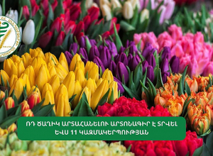 ՌԴ ծաղիկ արտահանելու արտոնագիր է տրվել ևս 11 կազմակերպության