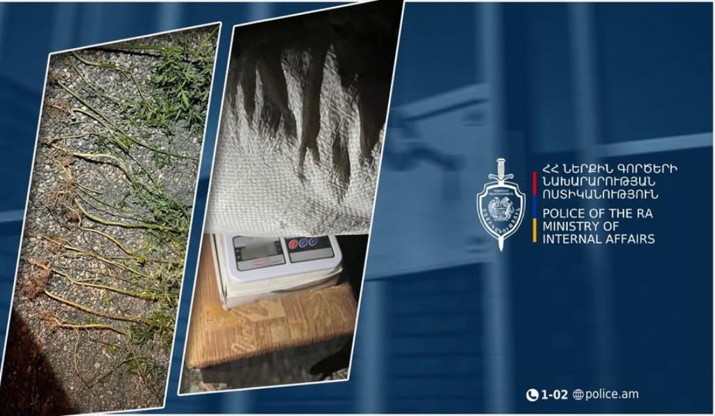 547378872_1167972758689408_3040483829038727494_n