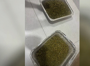 Բացահայտվել է թմրամիջոց իրացնող խումբ, հայտնաբերվել՝ առանձնապես խոշոր չափերի մարիխուանա