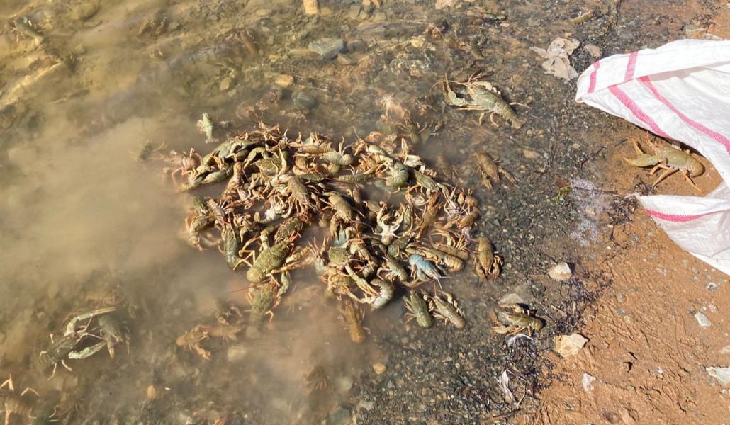 549434800_1257561503067535_5417154630777128549_n