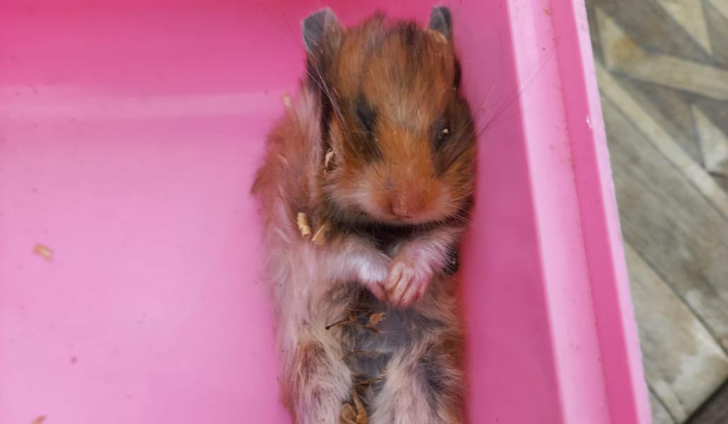 548704984_1384644813664616_8583942856992543642_n