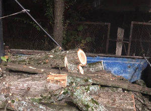 Ավտոմեքենա բեռնված է եղել շուրջ 1 խմ կաղնի տեսակի փայտանյութով