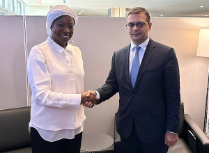 ԱԳ փոխնախարարը հանդիպել է ՄԱԿ Բնակչության հիմնադրամի գործադիր տնօրենի հետ